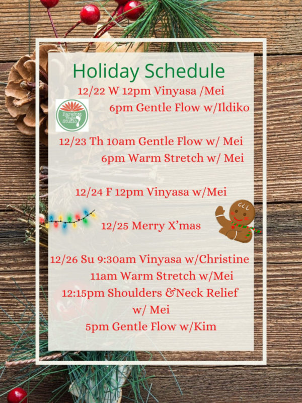 Merry Christmas~~~Holiday Schedule